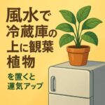 冷蔵庫の上に観葉植物？風水で気になる点｜運気アップとおすすめの植物