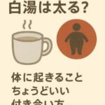 寝る前の白湯は太る？体に起きることをやさしく整理して、ちょうどいい付き合い方を見つける