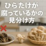 ひらたけが腐る前に見分け方を知ろう｜安全な保存法と対処法も解説