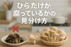 ひらたけが腐る前に見分け方を知ろう|安全な保存法と対処法も解説