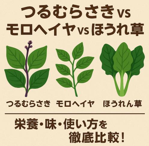 つるむらさき vs モロヘイヤ vs ほうれん草｜栄養・味・使い方を徹底比較！