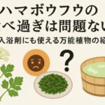 ハマボウフウの食べ過ぎは問題ない？入浴剤にも使える万能植物の紹介