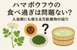 ハマボウフウの食べ過ぎは問題ない？入浴剤にも使える万能植物の紹介