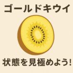 ゴールドキウイの消費期限の目安は？腐るとどうなる？安心して食べるための見極め方