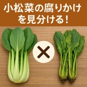 小松菜の腐りかけを見分ける！見た目・においで簡単チェック