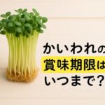 かいわれの賞味期限はいつまで？ムダにしない正しい保存テクと見極め術