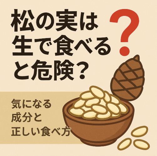 松の実は生で食べると危険?気になる成分と正しい食べ方を解説