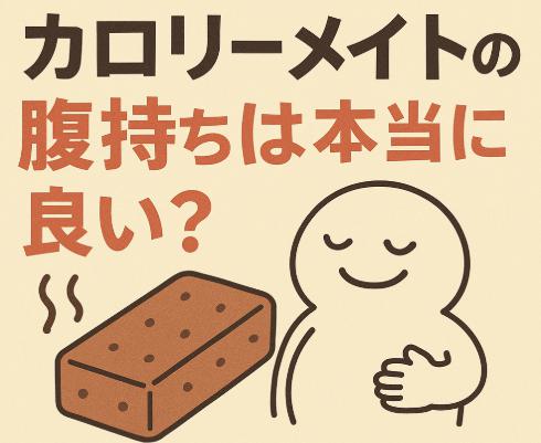 カロリーメイトの腹持ちは本当に良い？実際の持続時間と活用シーンを徹底解説！