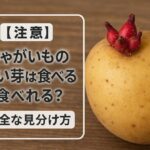 【注意】じゃがいもの赤い芽は食べれる？安全な見分け方