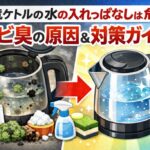 電気ケトルに水を入れっぱなしでカビ臭が！正しいお手入れと予防策