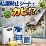 結露防止シートでカビるのはなぜ？原因と今すぐできる対策
