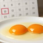 生卵の賞味期限切れは食べられる？安全性と見分け方を徹底解説