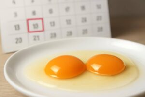 生卵の賞味期限切れは食べられる？安全性と見分け方を徹底解説