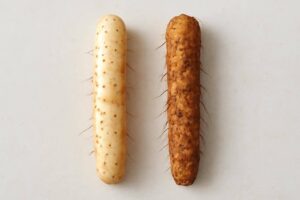 長芋が変色しても食べられる？茶色・黒くなった時の見分け方