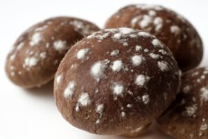 しいたけに生えた白いカビは食べられる？安全性と見分け方を徹底解説